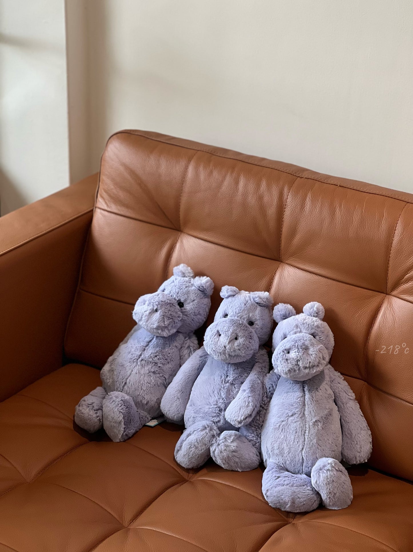 【現貨】JellyCat Bashful Hippo河馬