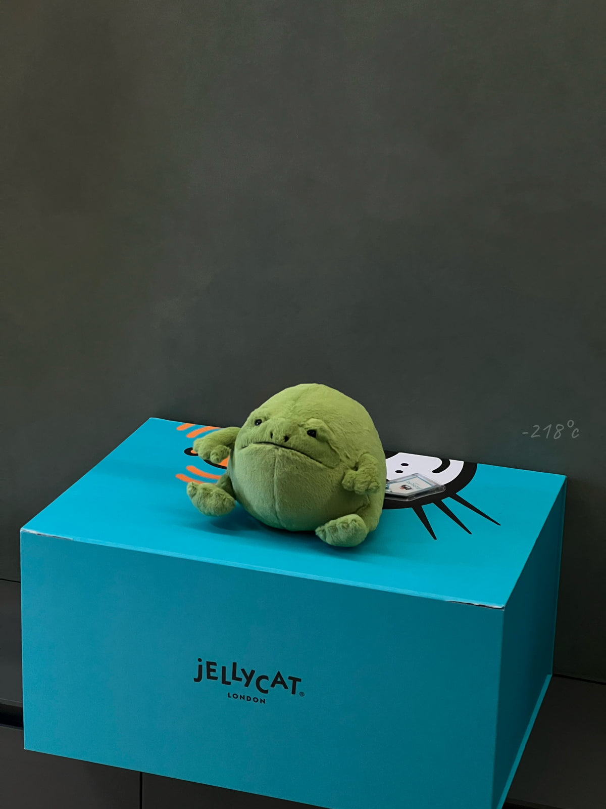 【現貨】
JELLYCAT Ricky Rain Frog青蛙🐸