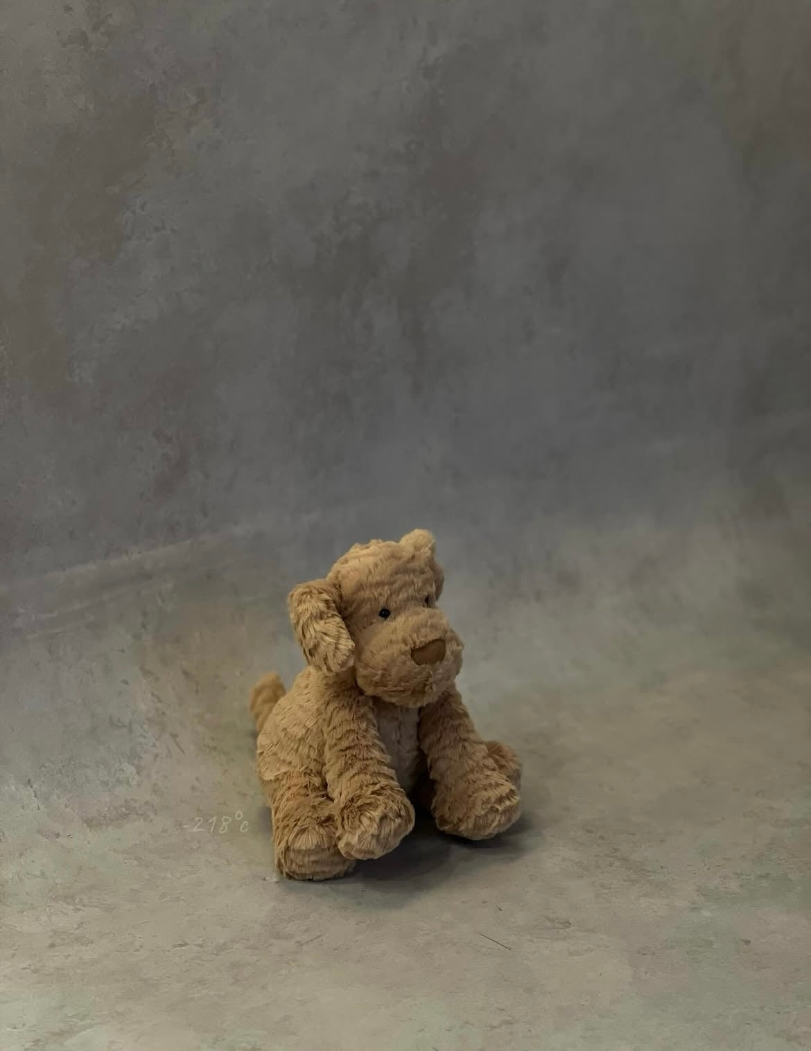 【現貨】
Jellycat Fuddlewuddle Puppy波浪毛狗狗