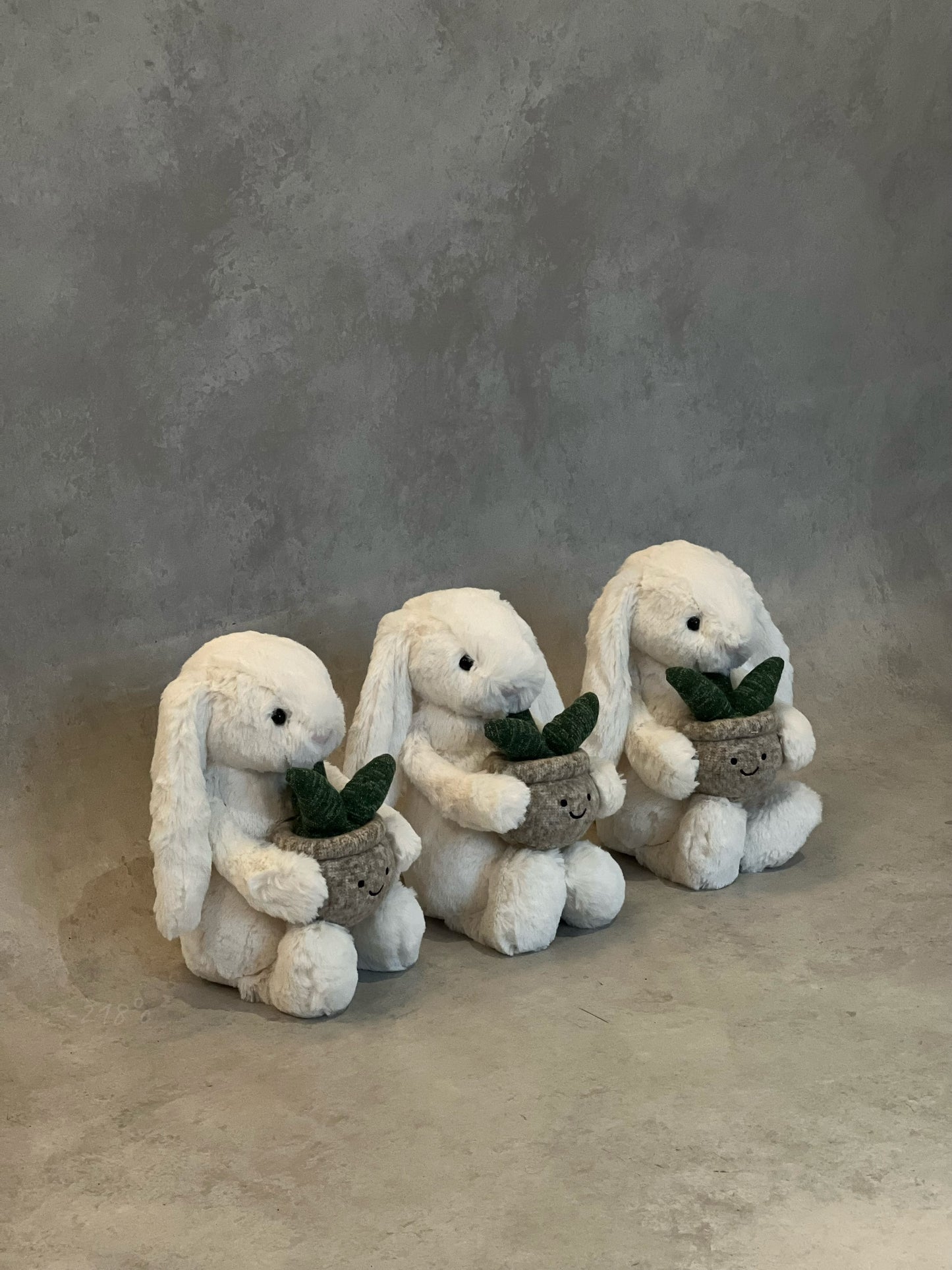 【現貨】
Jellycat Cream Bunny With Plant兔兔抱盆栽🪴