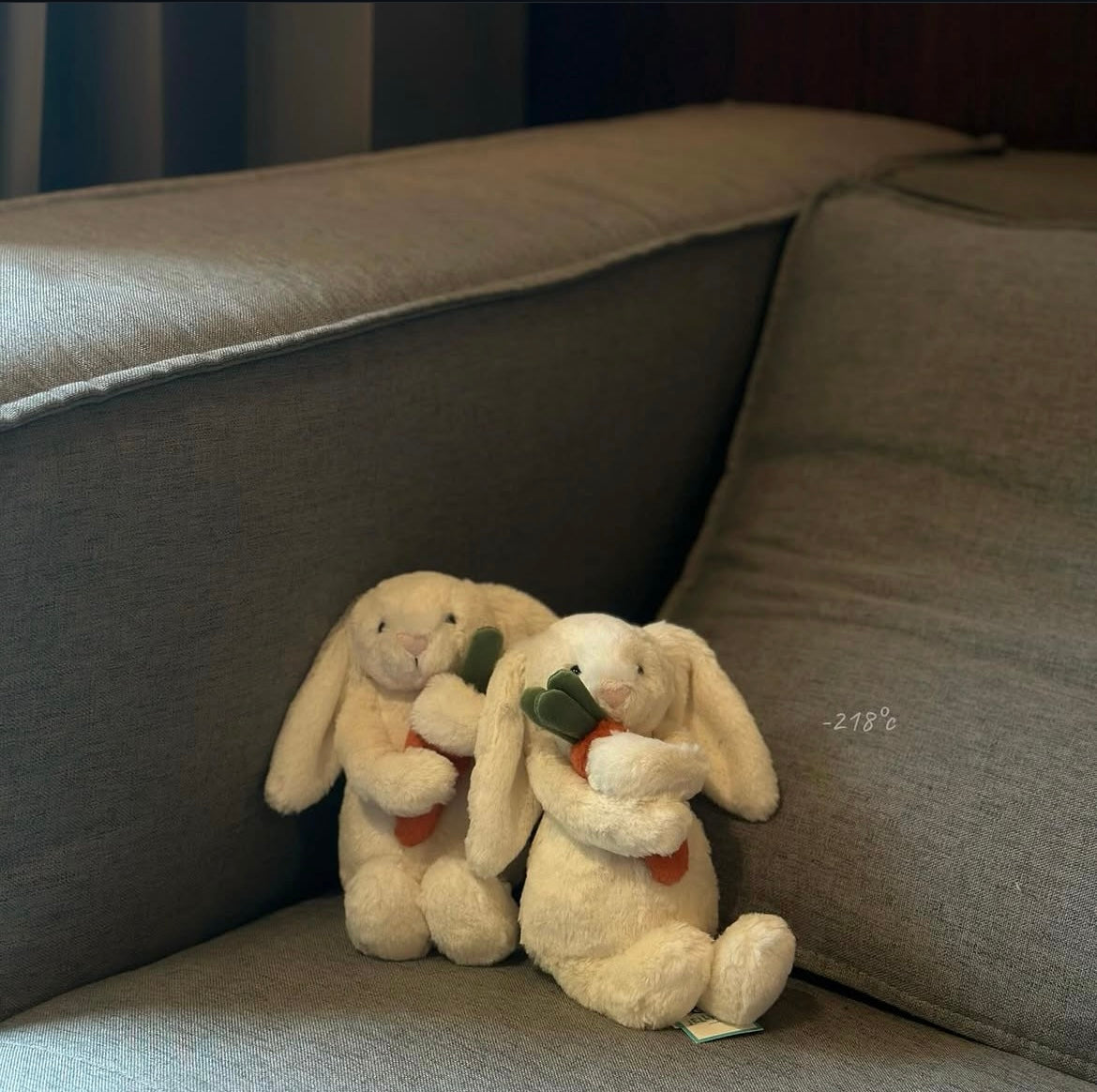 【現貨】JellyCat Carrot Bunny 18cm胡蘿蔔兔🥕