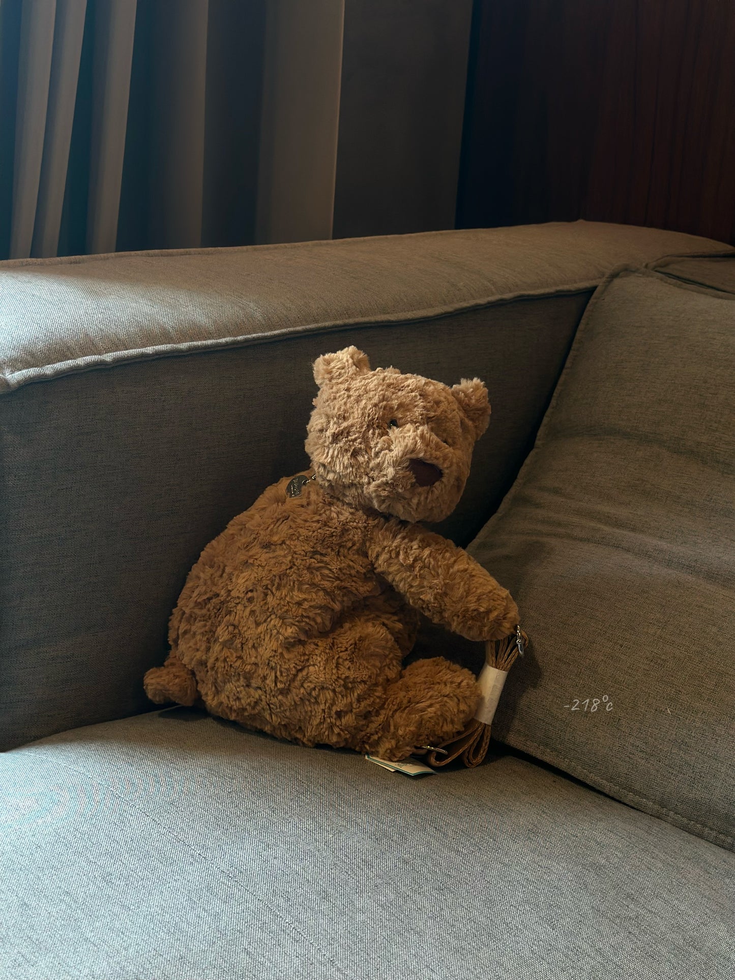 【現貨】
JellyCat Bartholomew Bear backpack熊熊後背包