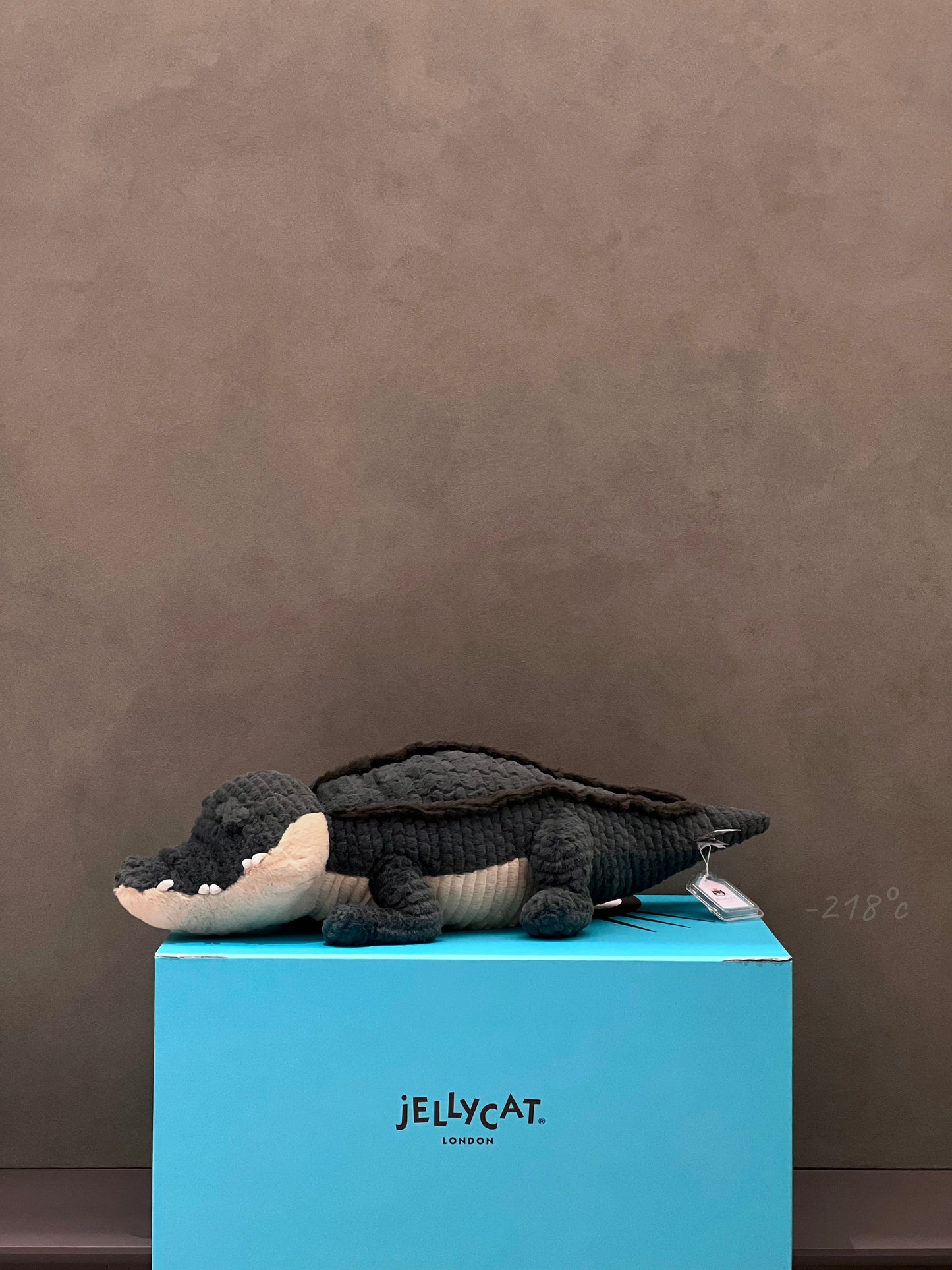 【現貨】
JELLYCAT Allexi Alligator短吻鱷魚🐊