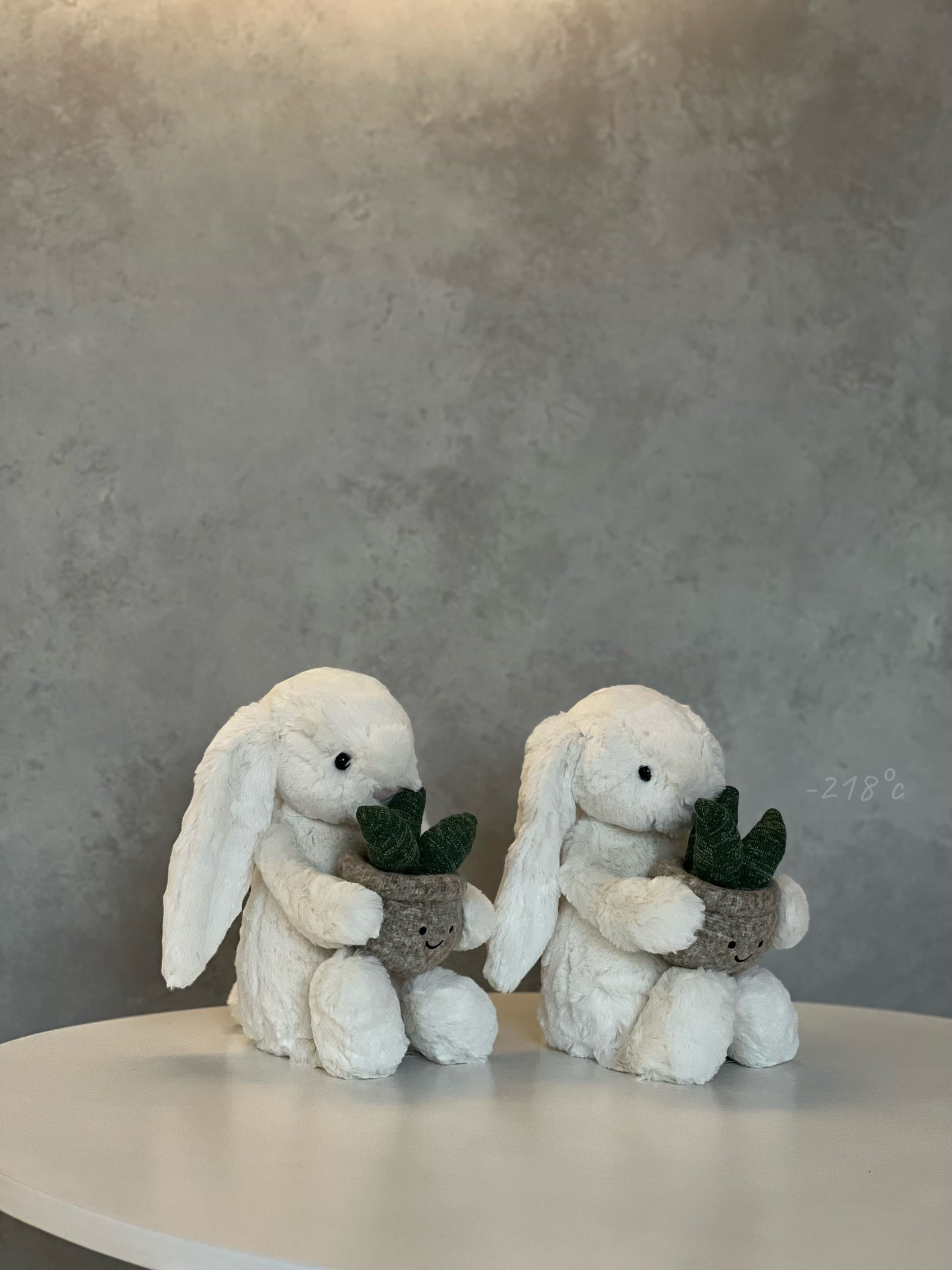 【現貨】
Jellycat Cream Bunny With Plant兔兔抱盆栽🪴
