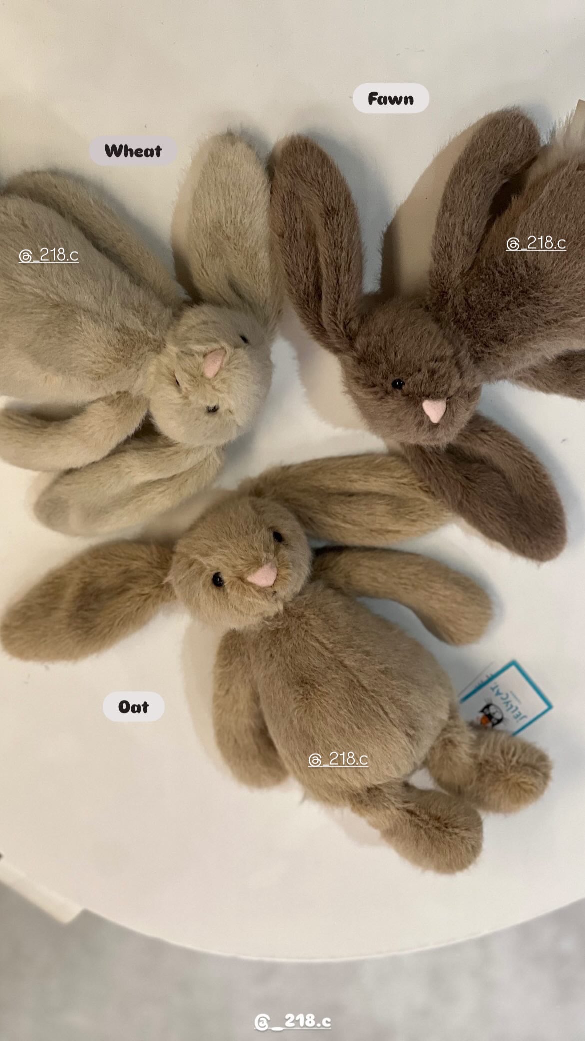 Jellycat Flufflet Bunny絨毛奶茶小兔